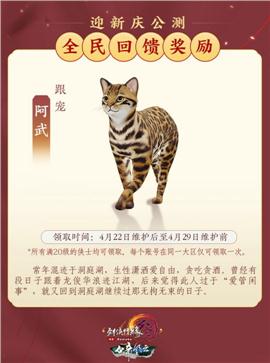 热血天龙八部私服怎么玩